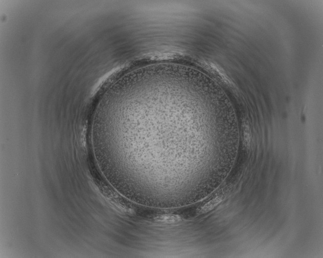 X0000076080543200610061618