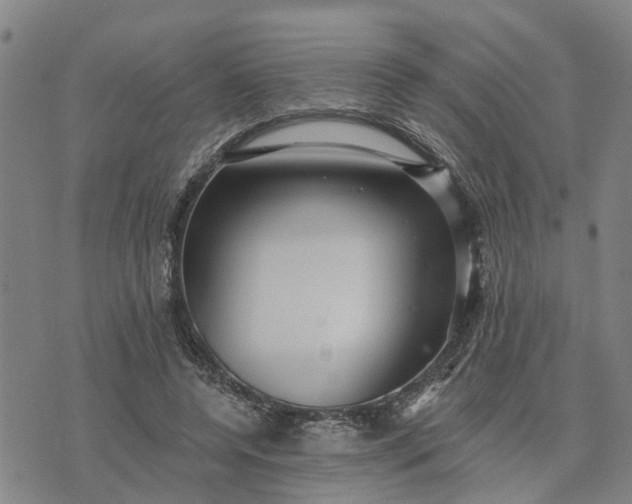 X0000076080544200610061618