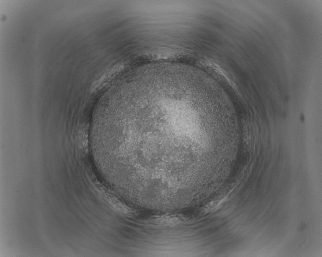 X0000076080545200610061618