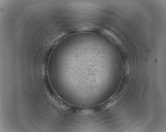 X0000076080546200610061618