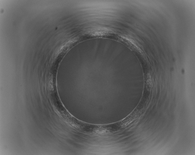 X0000076080547200610061618