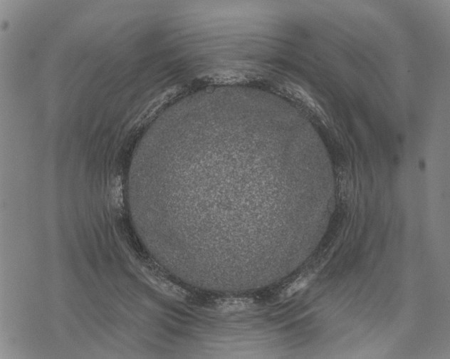 X0000076080549200610061618