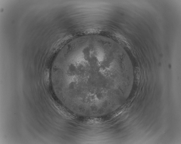 X0000076080550200610061619