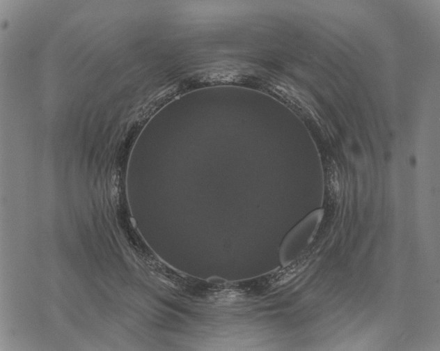 X0000076080551200610061619