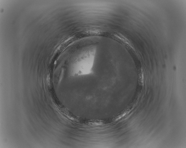 X0000076080552200610061619