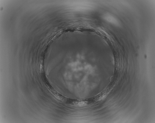 X0000076080553200610061619