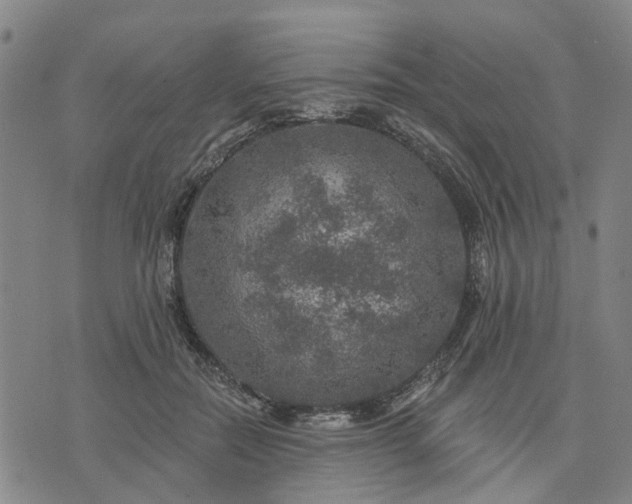 X0000076080554200610061619