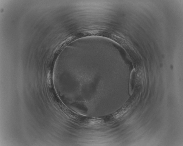 X0000076080555200610061619