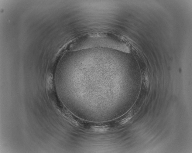 X0000076080556200610061619