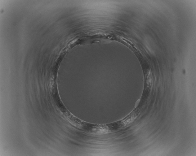 X0000076080559200610061619