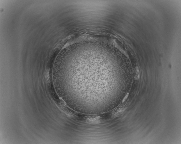 X0000076080560200610061619