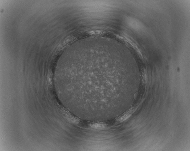 X0000076080561200610061619