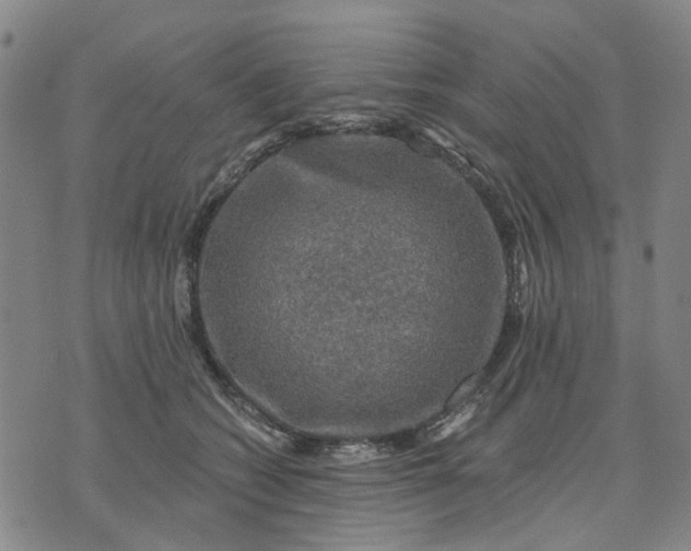 X0000076080562200610061619