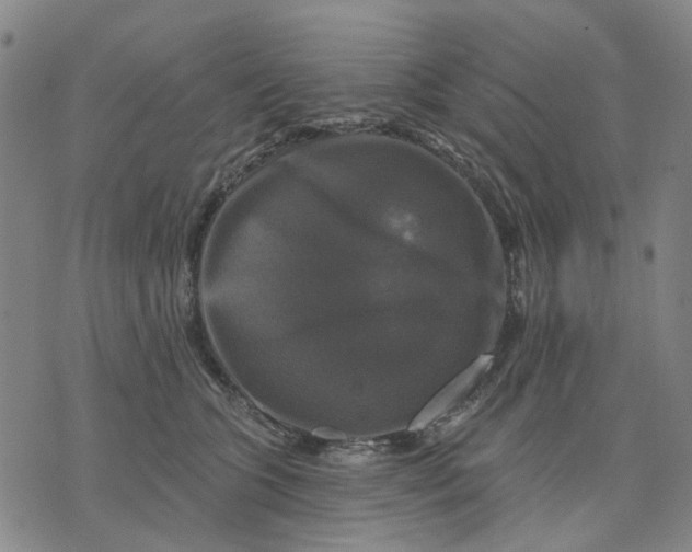 X0000076080563200610061619