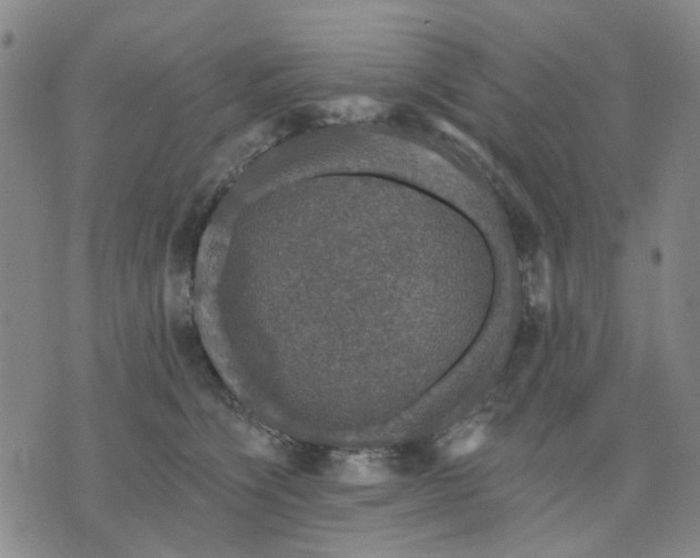 X0000076080564200610061619