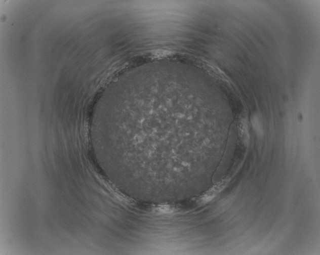 X0000076080565200610061619