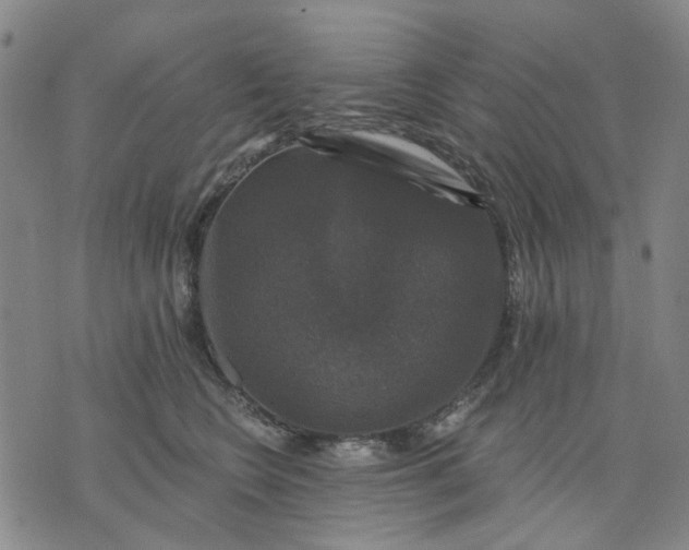 X0000076080566200610061619