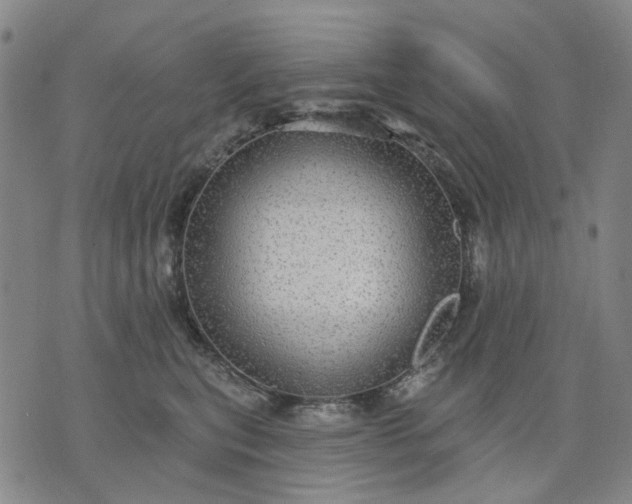 X0000076080567200610061619