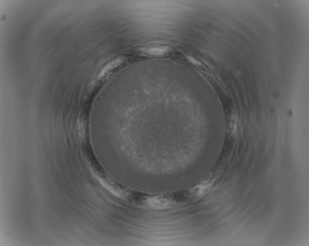 X0000076080568200610061619