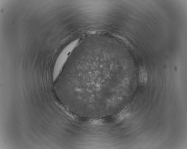 X0000076080569200610061619