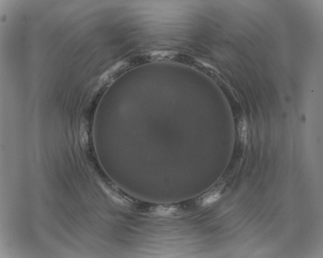 X0000076080570200610061619