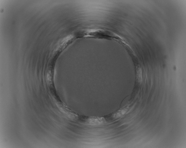 X0000076080571200610061619