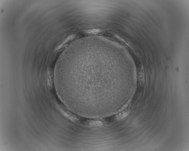 X0000076080572200610061619