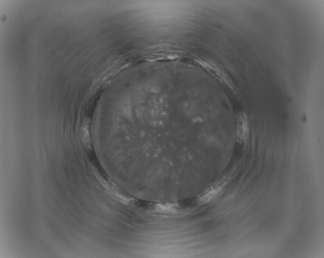 X0000076080573200610061619