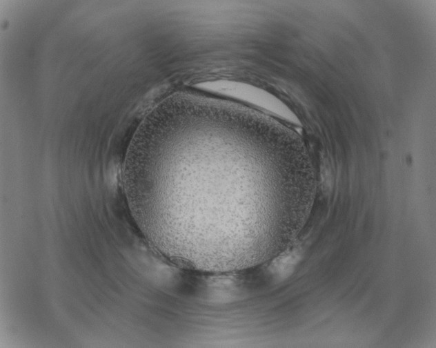 X0000076080574200610061619