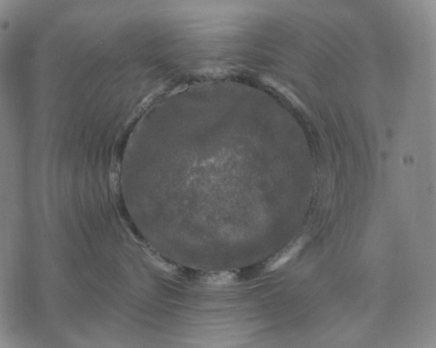 X0000076080576200610061619