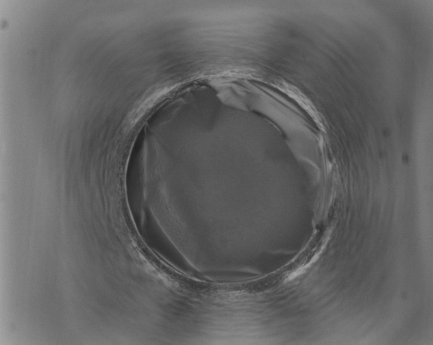 X0000076080577200610061618