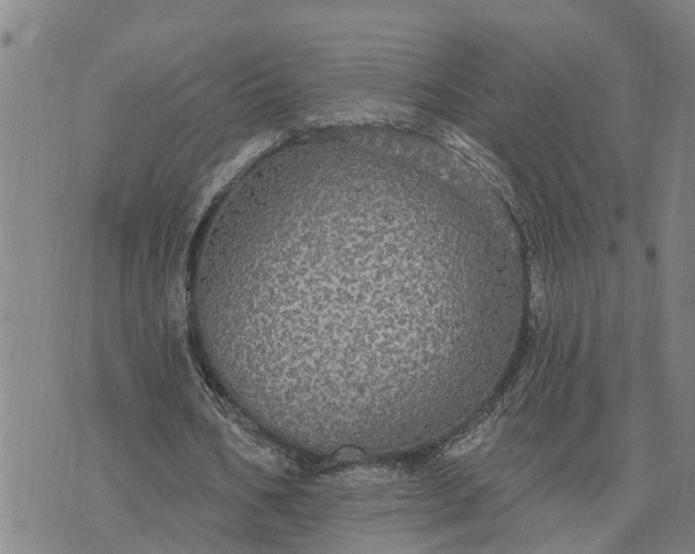 X0000076080578200610061618