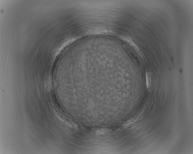 X0000076080579200610061618