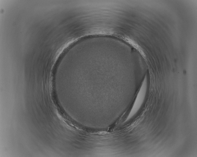 X0000076080580200610061618