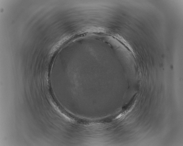 X0000076080581200610061618