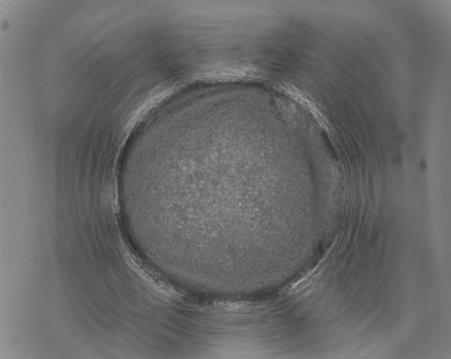 X0000076080582200610061618