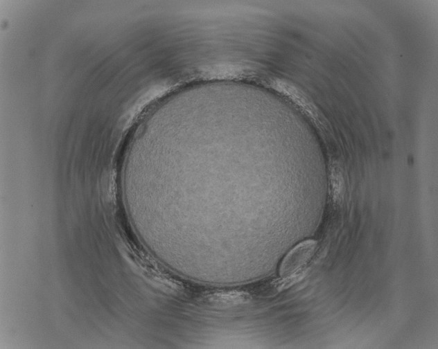 X0000076080583200610061618