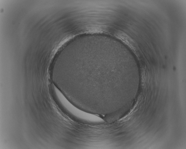 X0000076080584200610061618