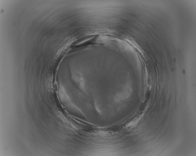 X0000076080585200610061618