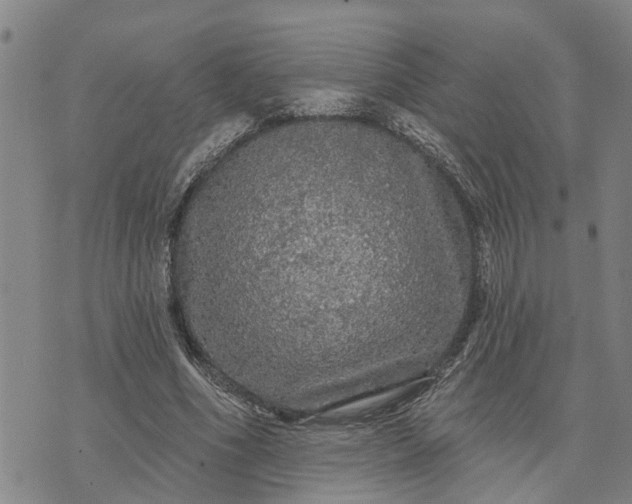 X0000076080586200610061618