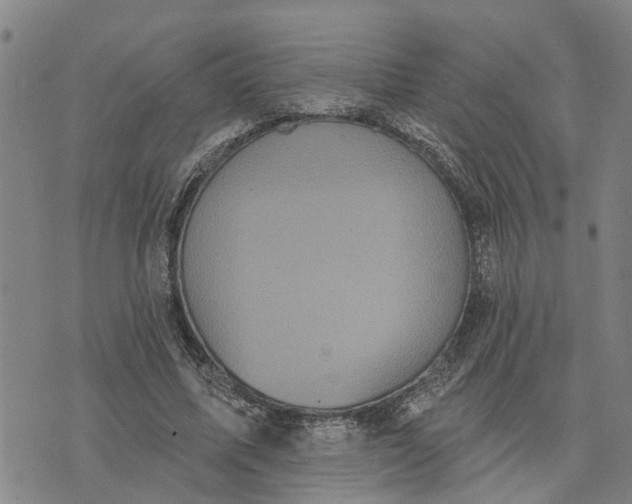 X0000076080587200610061618