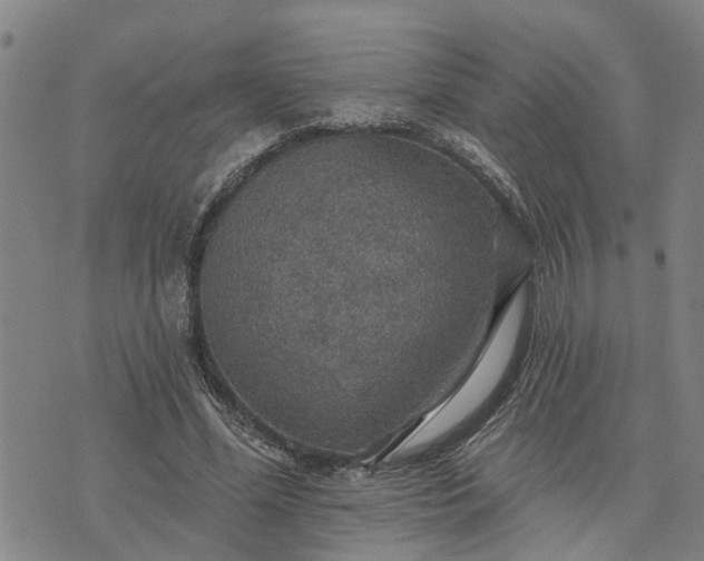 X0000076080588200610061618