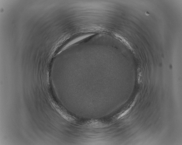 X0000076080589200610061618