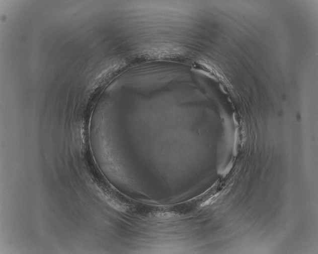 X0000076080590200610061618