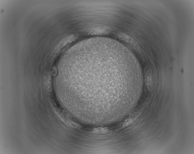 X0000076080591200610061618