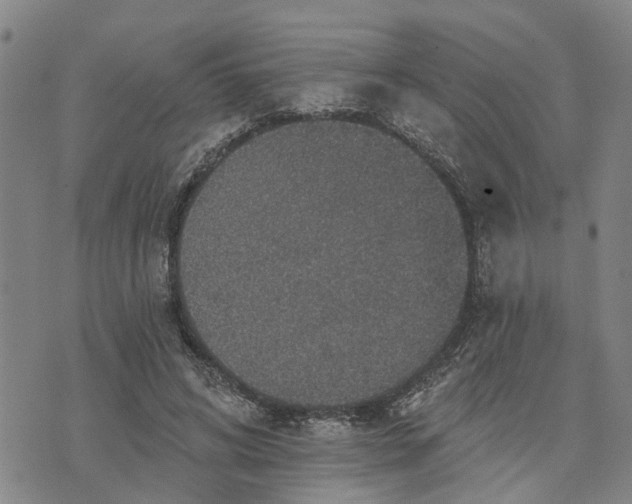 X0000076080592200610061618