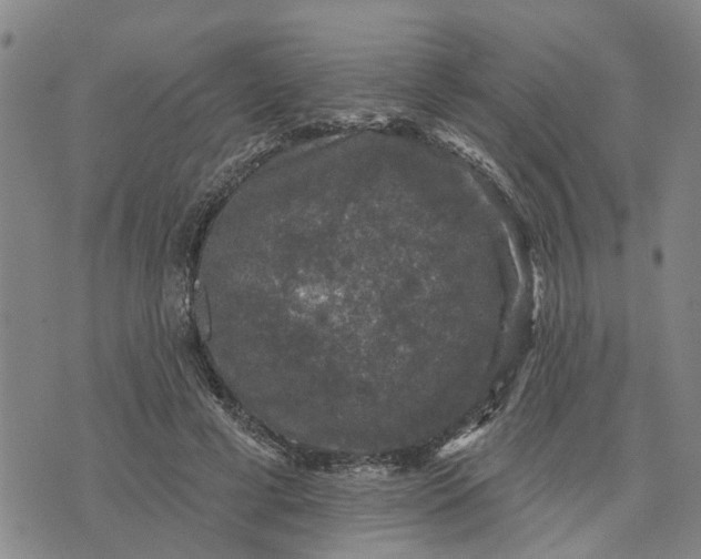 X0000076080593200610061618