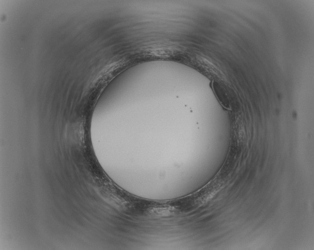 X0000076080595200610061618