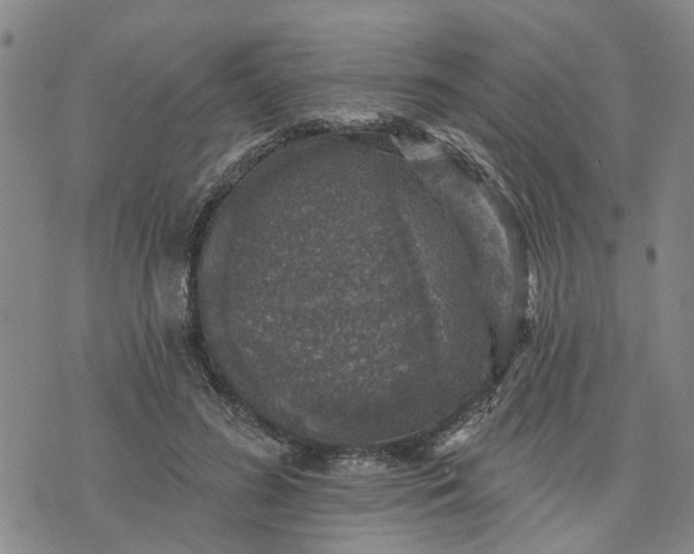 X0000076080596200610061618