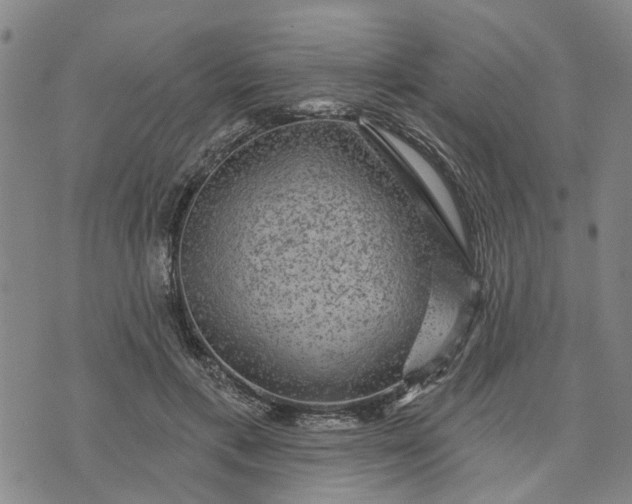 X0000076080597200610061618